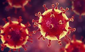 Korona Virüs Tedbirlerini Halk Neden Umursamıyor?