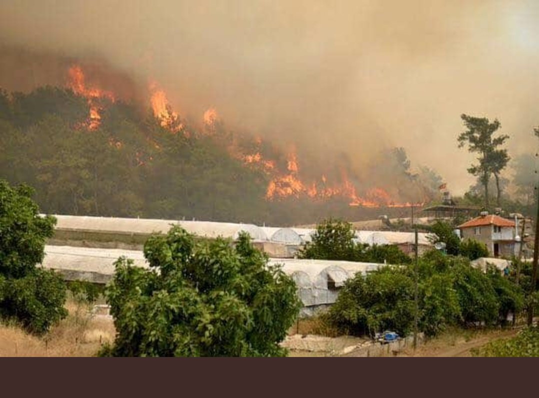 Orman yangını İzmir’de başladı Balıkesir’e ilerledi