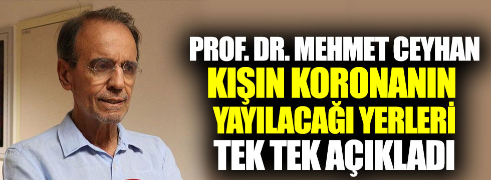 Prof. Dr. Mehmet Ceyhan, kışın koronanın yayılacağı yerleri tek tek açıkladı duyunca inanamayacaksınız!
