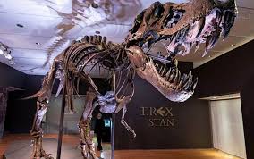 67 milyon yıllık dinozor iskeleti : 31.85 milyon dolar