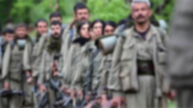PKK’nın tim komutanı ikna sonucu teslim oldu