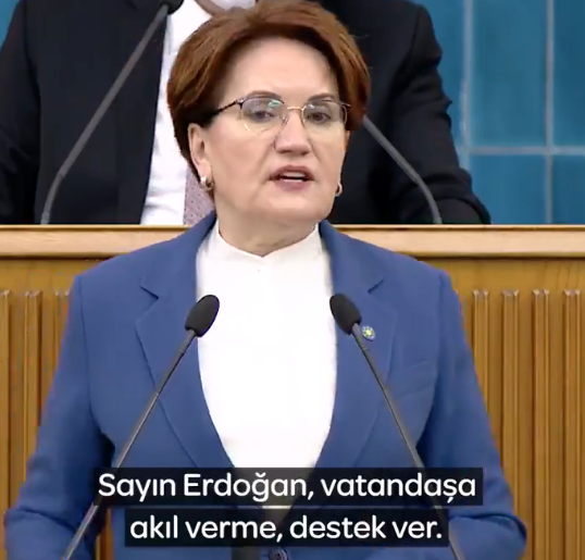 Ülkücü Lider Meral Akşener: Sayın Erdoğan vatandaşa akıl verme, destek ver.