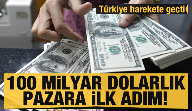 Türkiye 100 milyar dolarlık pazara ilk adım