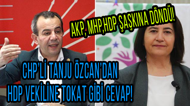 CHP’li Tanju Özcan ve HDP’li Serpil Kemalbay arasında mülteci gerginliği: Beni ağababalarına sor!
