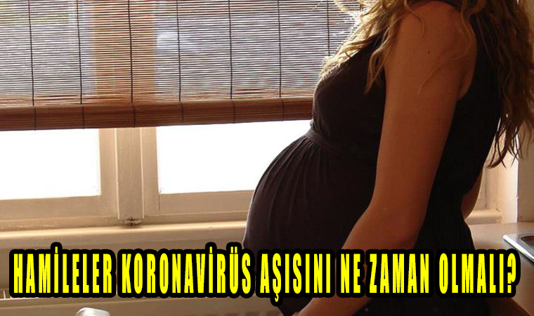 Doç. Dr. Mustafa Doğan: Hamileler koronavirüs aşısını ne zaman olmalı?