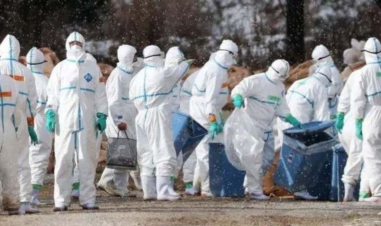 Çin’in güneyinde ölümcül panik: H5N6 Bulaşanların yarısı ölüyor!