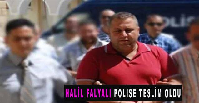 Sedat Peker gündeme getirdiği: KKTC’de Halil Falyalı teslim oldu, tutuklandı!