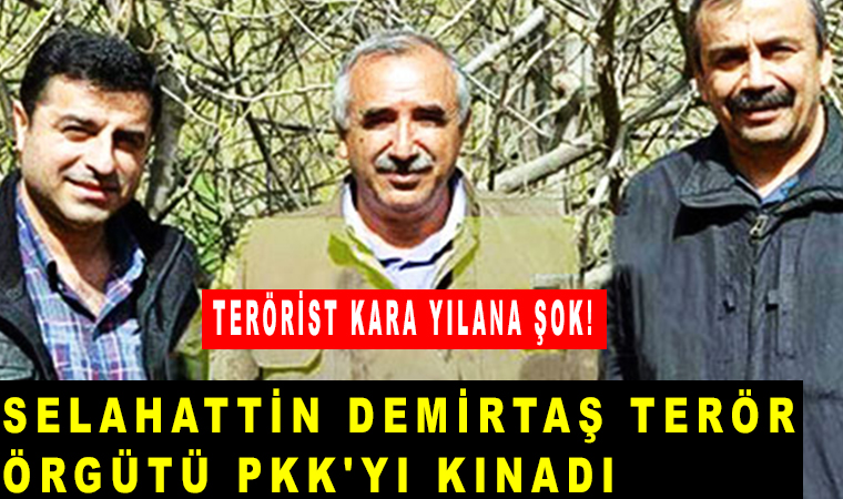 Selahattin Demirtaş, Ak Partiye karşı blok çağrısı yaptı: PKK’yi kınadı, Karayılan şok oldu!