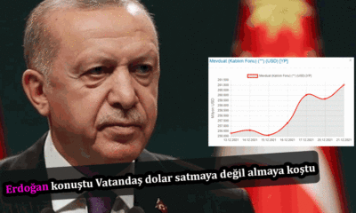 Cumhurbaşkanı Erdoğan konuştu Vatandaş dolar satmaya değil almaya koştu