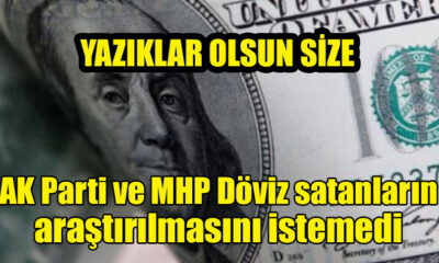 AK Parti ve MHP Döviz satanların araştırılmasını istemedi