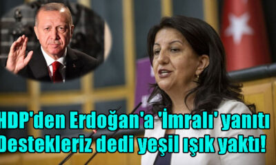 HDP'den Erdoğan'a 'İmralı' yanıtı: Destekleriz dedi yeşil ışık yaktı!