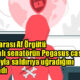 Uluslararası Af Örgütü, Polonyalı senatörün Pegasus casus yazılımıyla saldırıya uğradığını doğruladı