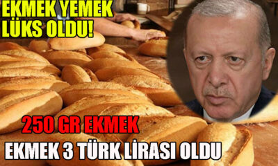 İstanbul Ekmek'e zam geldi 250 gr Ekmek 3 TL Oldu