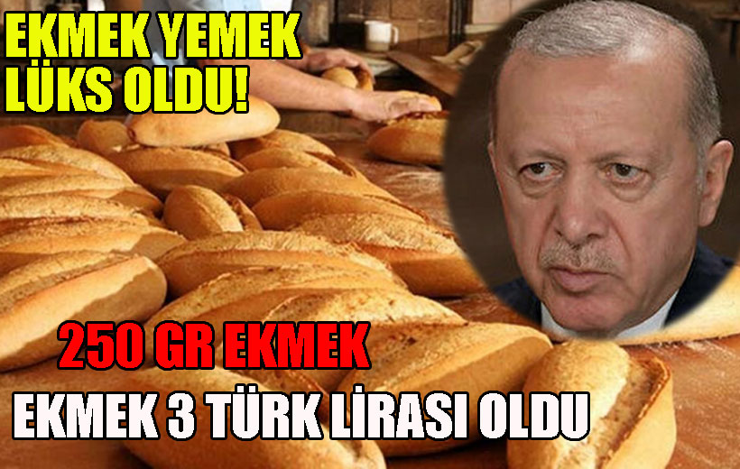 İstanbul Ekmek’e zam geldi 250 gr Ekmek 3 TL Oldu