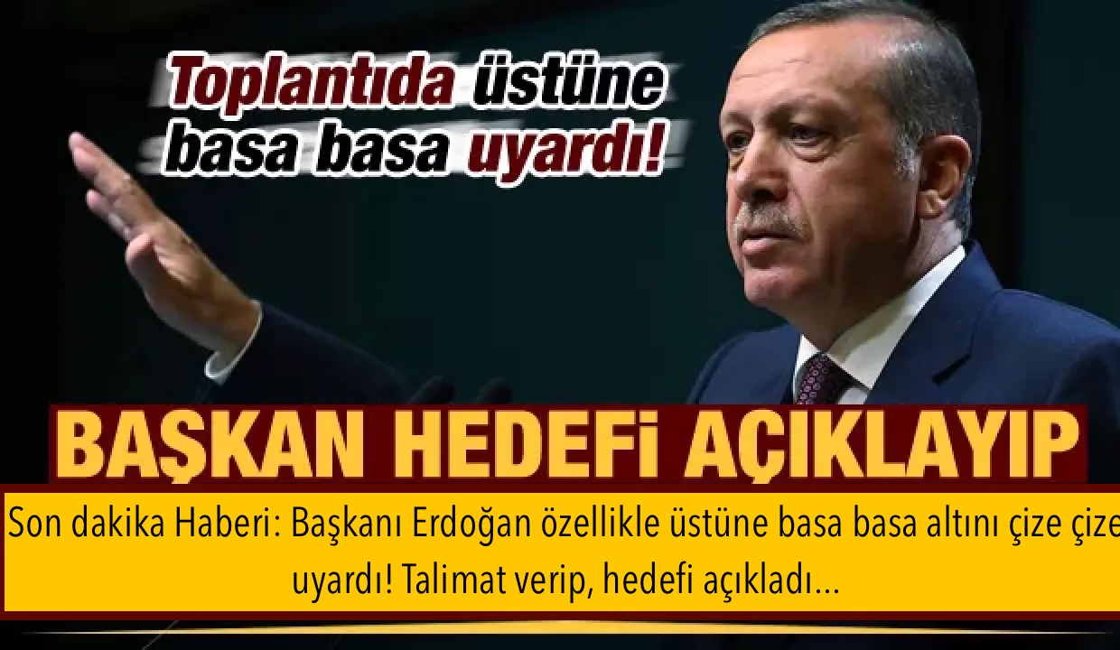 Son dakika Haberi: Başkanı Erdoğan özellikle üstüne basa basa altını çize çize uyardı! Talimat verip, hedefi açıkladı…