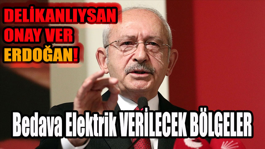 Kemal Kılıçdaroğlu Diyarbakır,Şanlıurfa,Batman,Mardin,Siirt,Şırnak Bedava Elektik sözü! Erdoğan delikanlıysan onay ver