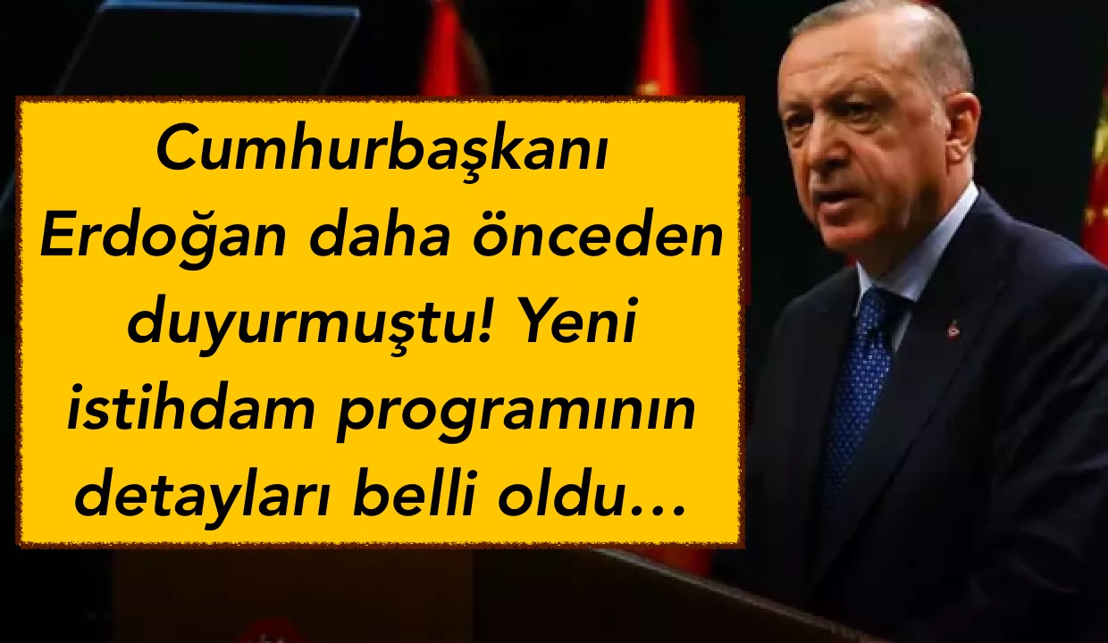Cumhurbaşkanı Erdoğan daha önceden duyurmuştu! Yeni istihdam programının detayları belli oldu