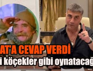 Reis Sedat Peker’den SADAT açıklaması: Sizi köçekler gibi oynatacağım