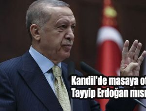 Kandil’de masaya oturan Tayyip Erdoğan mısın, değil misin?