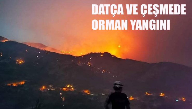 Çeşme ve Datça’da orman yangını görüntüleri, Milyonlarca ağaç kül oldu