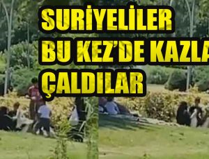İstanbul Bahçeşehir’de Suriyeli oldukları öne sürülen iki kadın Bahçeşehir Gölet Parkı’ndaki kazları çaldı