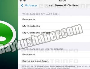 Whatsapp çevrimdışı ol özelliği kullanmak, Yeni özellik geliyor!