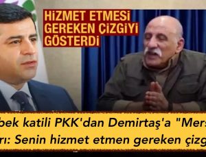 Bebek katili PKK’dan Demirtaş’a “Mersin” ayarı: Senin hizmet etmen gereken çizgi bu
