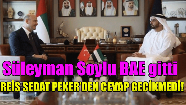 Süleyman Soylu BAE gitti, Reis Sedat Peker’den cevap: Ben zebaniyi gülerek karşılarım cezaevinden çekinmem