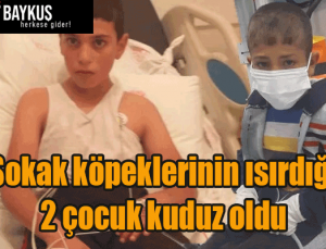 Bitlis’in Adilcevaz ilçesinde sokak köpeklerinin ısırdığı 2 çocuk kuduz oldu!
