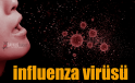 influenza virüsü nedir, Bulaşıcı mı belirtileri nelerdir?
