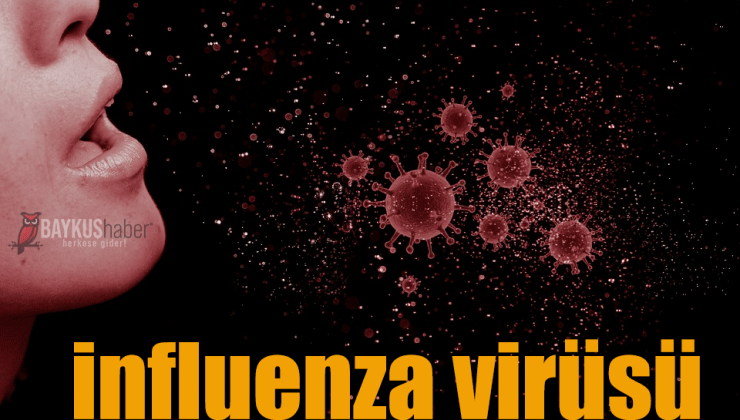 influenza virüsü nedir, Bulaşıcı mı belirtileri nelerdir?