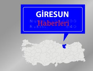 Giresunspor’da olağanüstü seçimli genel kurul 25 Şubat’a ertelendi