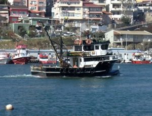 Hamsi avcılığı, Marmara Denizi ile boğazlarda durduruldu