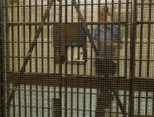 Cezaevinde skandal olay: Gardiyanlar mahkumlarla ilişkiye girmiş