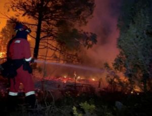 Korkutan yangın: Yüzlerce insan tahliye edildi