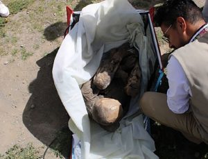 Peru’da kurye çantasında 600 ila 800 yıllık mumya bulundu