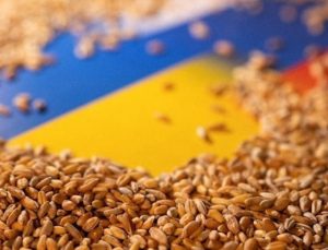 Ukrayna’dan tahıl koridoru açıklaması