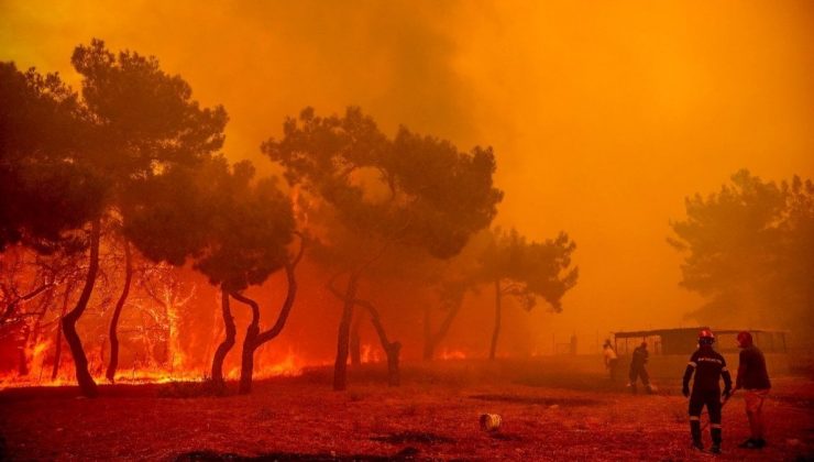 Yunanistan’da 10 yılda yaklaşık 3 milyon dönüm alan yandı