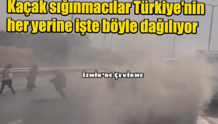 İzmir’de Kaçak göçmenler yanan araçtan Sokağa dağıldı! Bakanlık açıklama yapmadı!