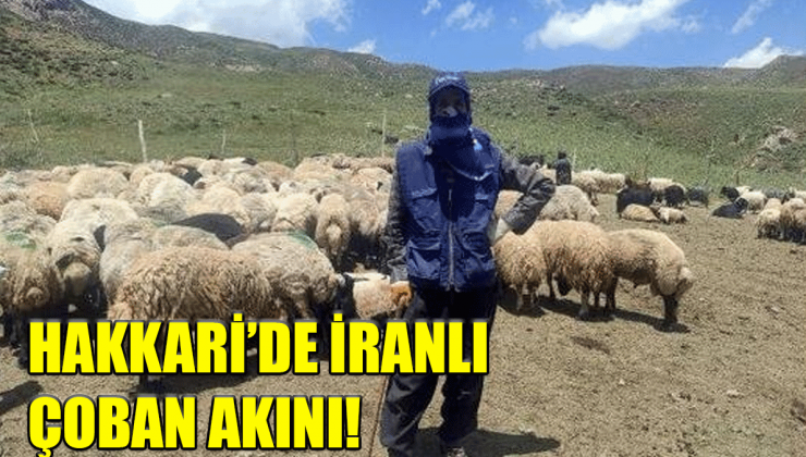 Hakkarililer İran’lı çoban alıyor! Çoban bulamıyorlarmış!