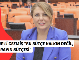 CHP Giresun Milletvekili Elvan Işık Gezmiş: Bu Bütçe Halkın Değil, Sarayın Bütçesi