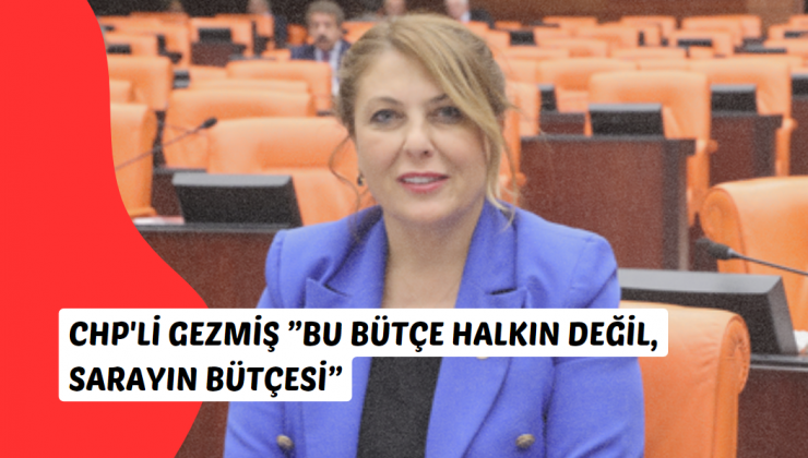 CHP Giresun Milletvekili Elvan Işık Gezmiş: Bu Bütçe Halkın Değil, Sarayın Bütçesi