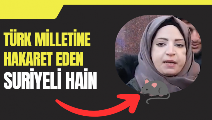 Radikal İslamcı Suriyeli Kadın Türk milletine hakaret etti, Ak Partili Bakanlık açıklama yapmadı!